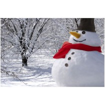 Ziemassvētku komplekts “Sniegavīrs”