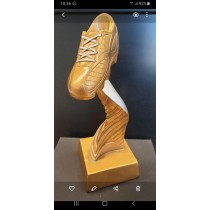 Balva-pieminas zime "Sports"
