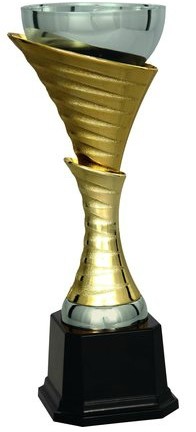 Кубок