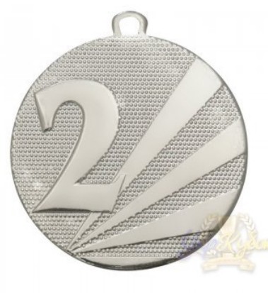 Медаль,2 место,серебро,D50mm
