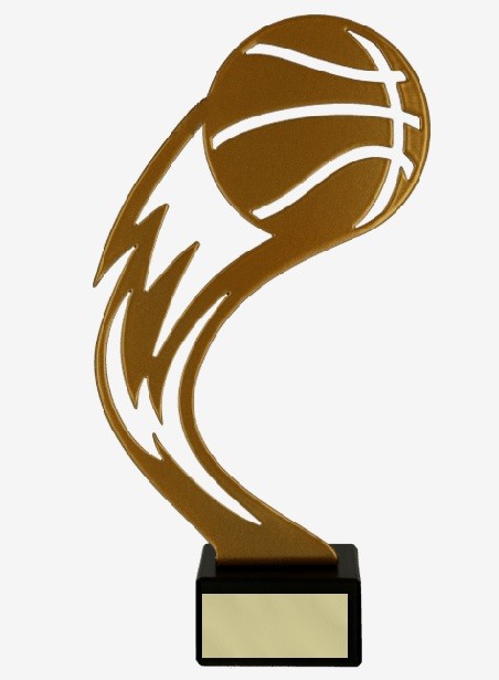 Награда "Баскетбол"