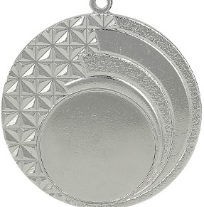 Медаль,серебро(вставка 25мм)