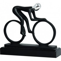 Награда "Велосипедист"