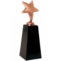 Награда "Звезда"