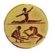 Вставка в медаль "Спортивная гимнастика"