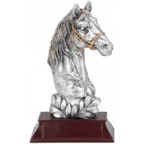 Награда  "Лошадь"