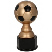 Награда "Футбол"